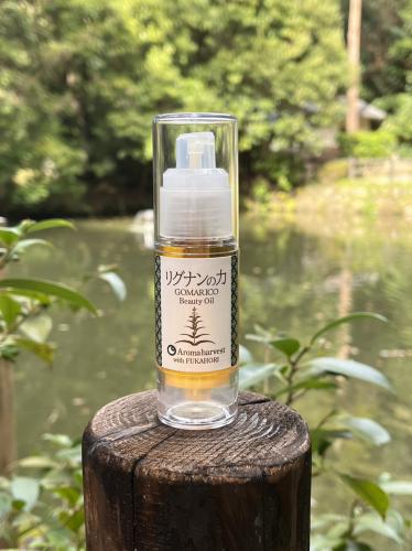 ＊ビューティーオイル リグナンの力