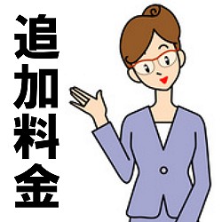 ＊【追加料金】 箱代 330円　(通常のお買い物では使いません)